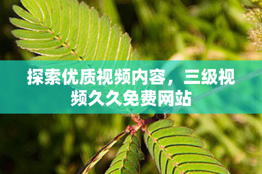 三级视频久久免费网站图片