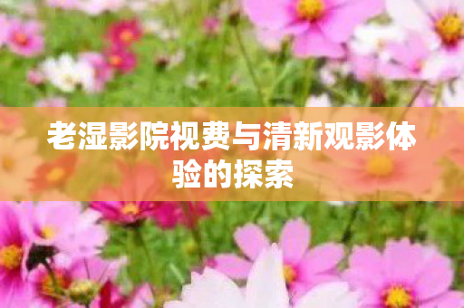 老湿影院视费与清新观影体验的探索图片