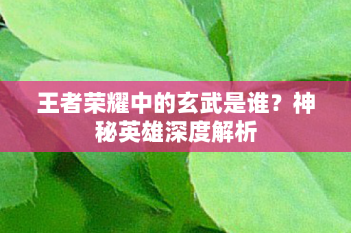 王者荣耀中的玄武是谁图片