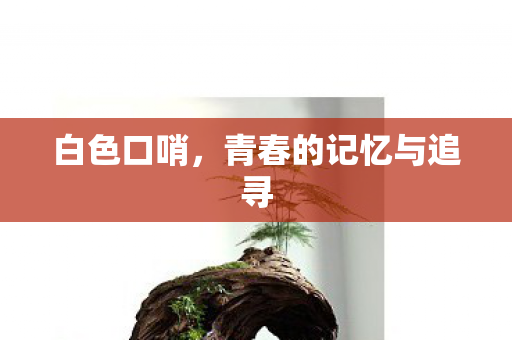 青春的记忆与追寻图片