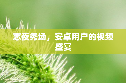 安卓用户的视频盛宴图片
