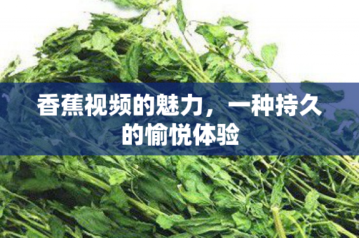 一种持久的愉悦体验图片