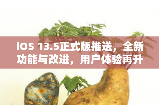 全新功能与改进图片