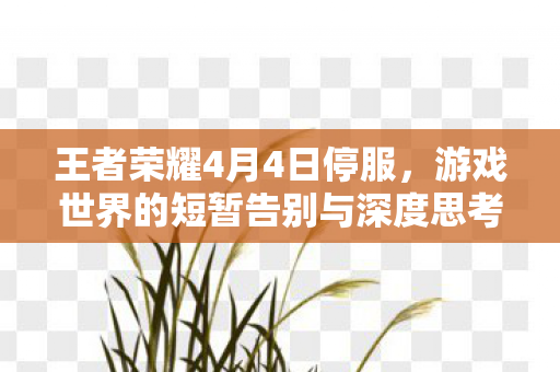 游戏世界的短暂告别与深度思考图片