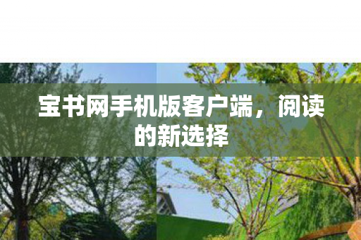 宝书网手机版客户端图片