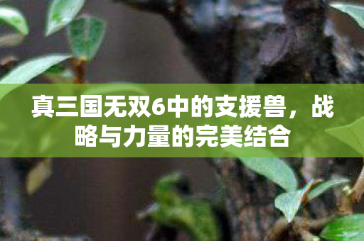 真三国无双6中的支援兽图片