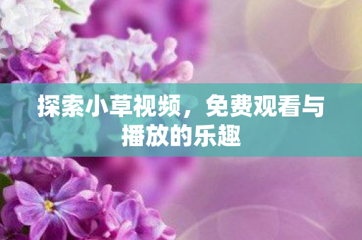 免费观看与播放的乐趣图片