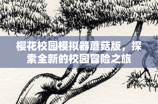 探索全新的校园冒险之旅图片
