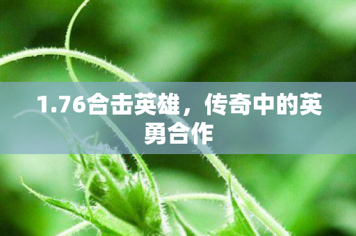 传奇中的英勇合作图片