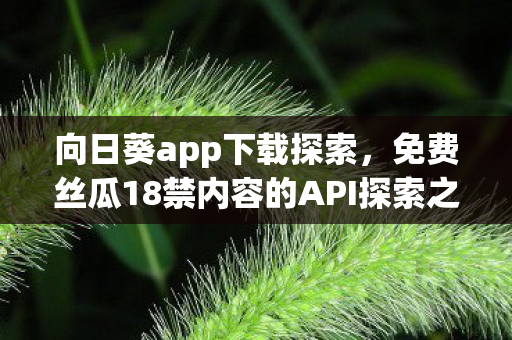 免费丝瓜18禁内容的API探索之旅图片