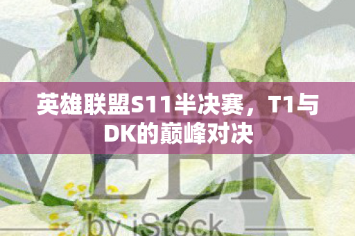 英雄联盟S11半决赛图片