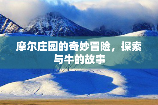 摩尔庄园的奇妙冒险图片