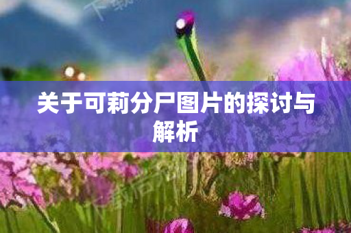 关于可莉分尸图片的探讨与解析图片