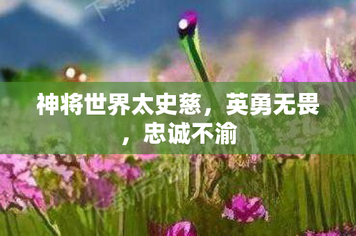 神将世界太史慈图片