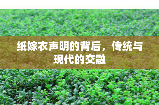 纸嫁衣声明的背后图片