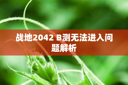 战地2042 B测无法进入问题解析图片