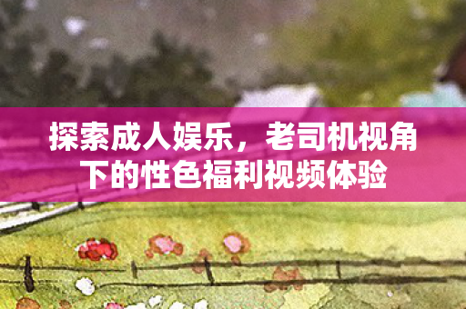 老司机视角下的性色福利视频体验图片
