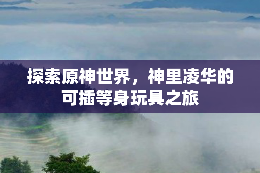 神里凌华的可插等身玩具之旅图片