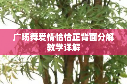 广场舞爱情恰恰正背面分解教学详解图片