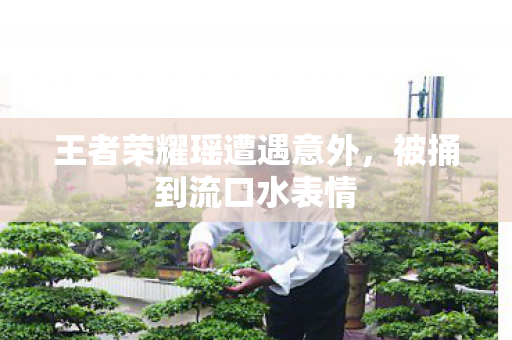 王者荣耀瑶遭遇意外图片