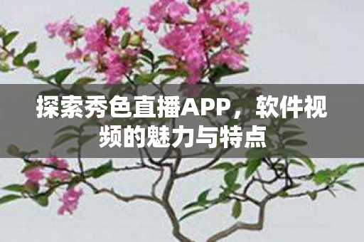 软件视频的魅力与特点图片