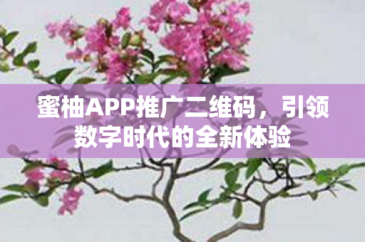 引领数字时代的全新体验图片