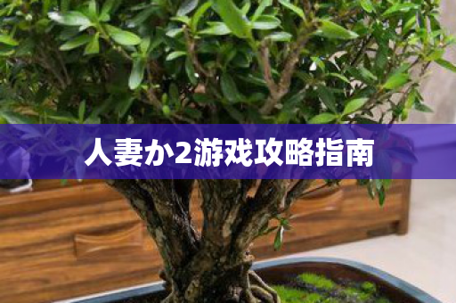 人妻か2游戏攻略指南图片