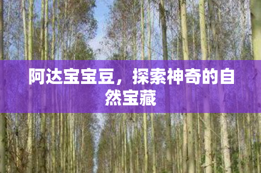 探索神奇的自然宝藏图片