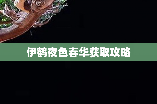 伊鹤夜色春华获取攻略图片