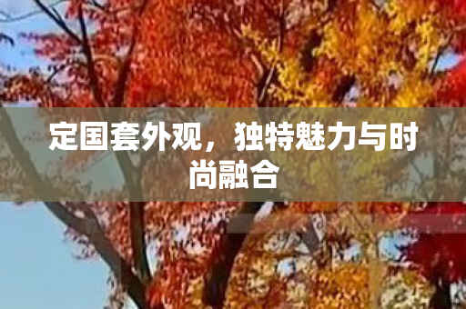 独特魅力与时尚融合图片