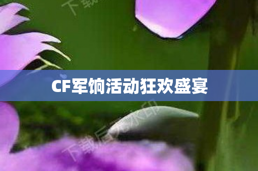 CF军饷活动狂欢盛宴图片
