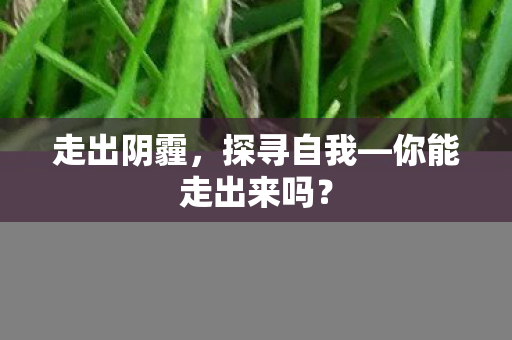 你能走出来吗图片