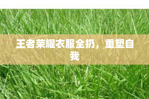 王者荣耀衣服全扔图片