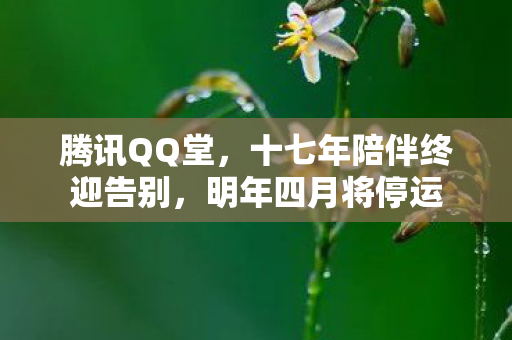 十七年陪伴终迎告别图片