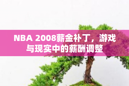 NBA 2008薪金补丁图片