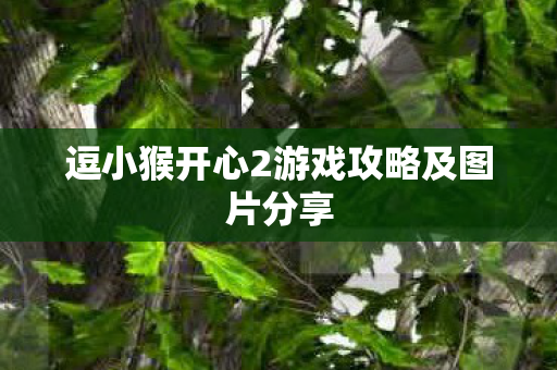 逗小猴开心2游戏攻略及图片分享图片