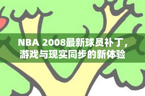 NBA 2008最新球员补丁图片