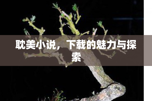 下载的魅力与探索图片