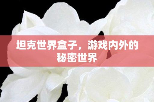游戏内外的秘密世界图片