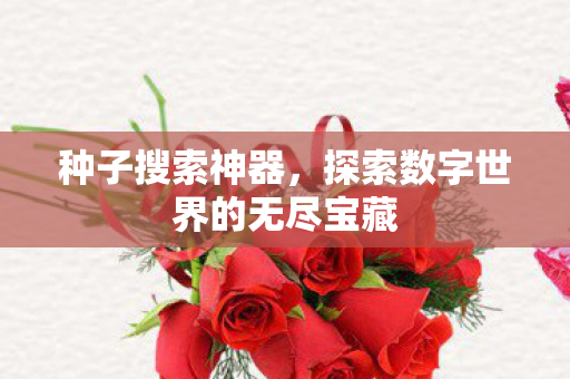 探索数字世界的无尽宝藏图片