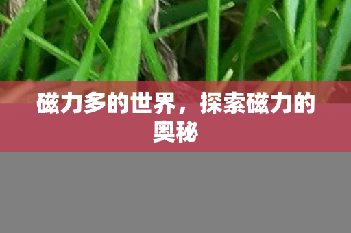 探索磁力的奥秘图片