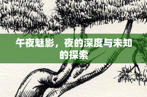 夜的深度与未知的探索图片