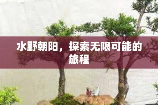 探索无限可能的旅程图片