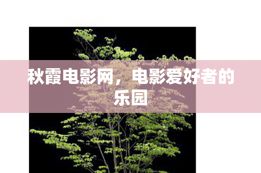 电影爱好者的乐园图片