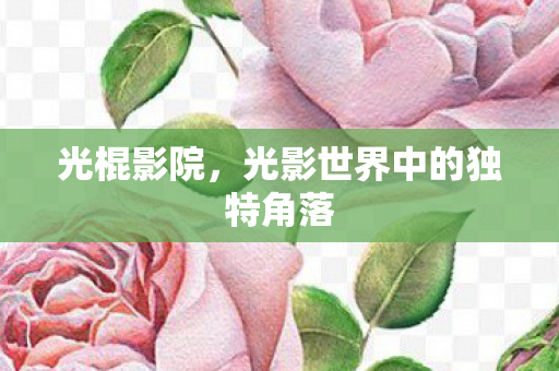 光影世界中的独特角落图片