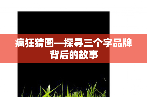 探寻三个字品牌背后的故事图片