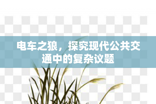 探究现代公共交通中的复杂议题图片