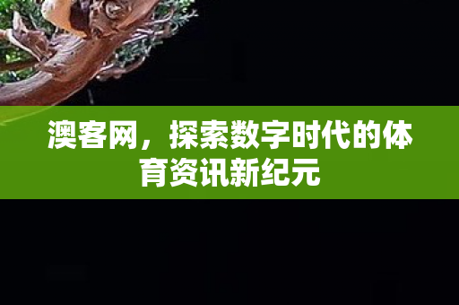 探索数字时代的体育资讯新纪元图片