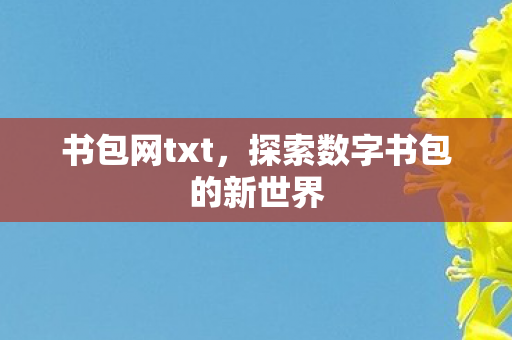 探索数字书包的新世界图片
