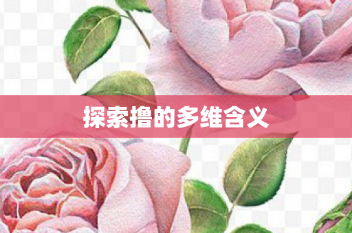 探索撸的多维含义图片